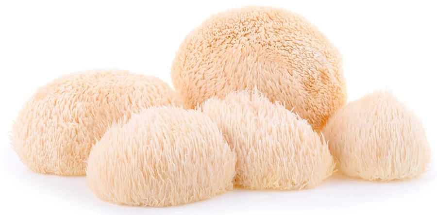 Active mushrooms