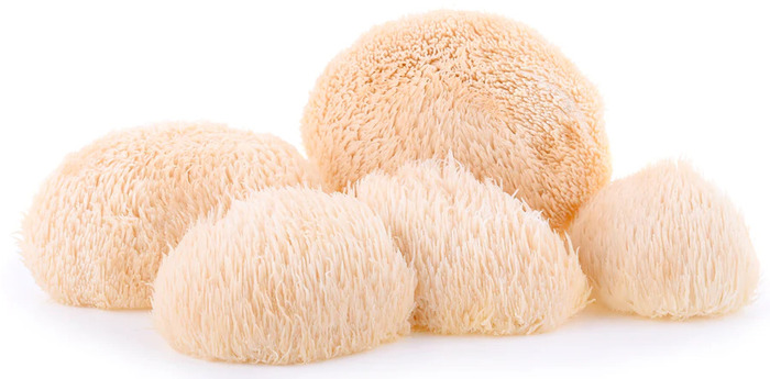 Active mushrooms