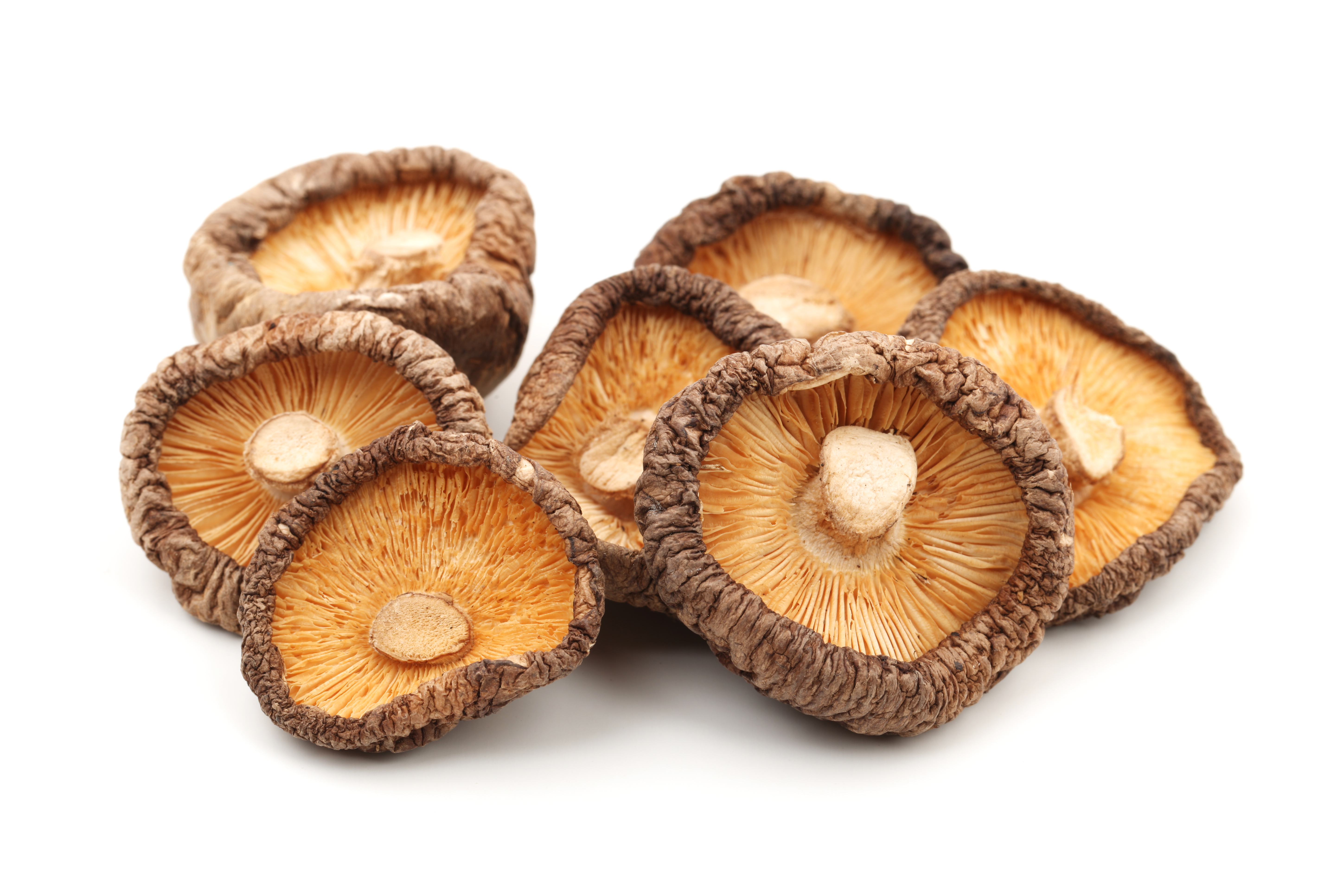 Shiitake dried, 100 g