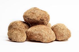 Lion's Mane, dried, 100 g